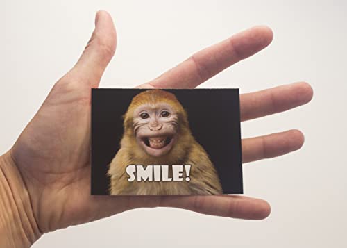 Oospecka Lunch Box Note Cards Motivational And Inspirational Funny Animal Note Cards For Kids #TOP1