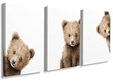 Peeking Bear Canvas Wall Art Set of 3,Baby Bear Nursery Prints,Gender Neutral Posters for Kids Room Wall Decor Picture for Nursery Boys Girls Room Framed 12"x16"