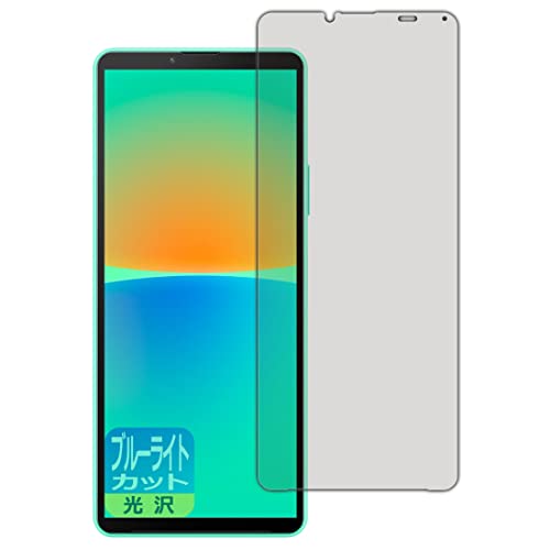 PDAH[ Xperia 10 IV (SO-52C/SOG07/A202SO/XQ-CC44)Ή u[CgJbg[] ی tB {