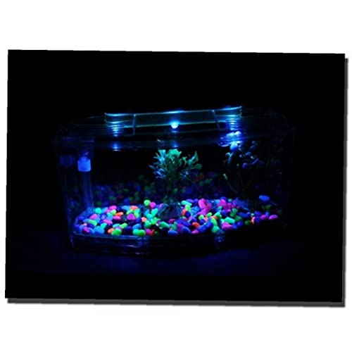 1pc LED Light Aquarium Acrilico Acrilico Tre Splits Betta Fish Serbatoio Triplo Bow Browers Box Breed Box - Image 5