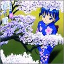 藍より青し 藍青音盤-“桜”(通常) 藍より青し 藍青音盤-“桜”(通常)