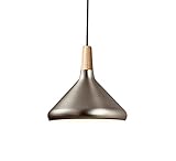 KXEcoLife Lámpara de Techo Moderna E27, lámpara Colgante de Cobre, Arte, iluminación Colgante, Pantalla, café, Restaurante, Bar, Comedor, Dorado, pequeña lámpara de araña Decorativa (Color: