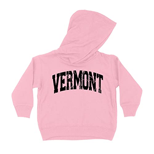 Distressed Vermont Collegiate Kids Hoodie Sweatshirt Toddler 5T Light Pink