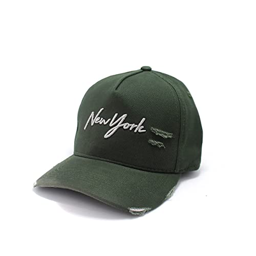 Boné Masculino Aba Curva Strapback Diversos Modelos E cores (Verde)
