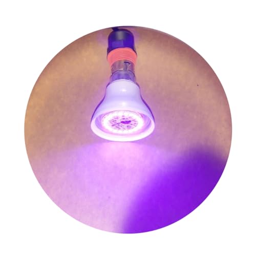 Image of TORPE-9W 20 LED Ultra Violet 395nm Light Bulb B22 with clear pc cover. 90 Days warranty