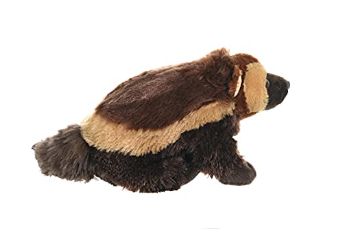 Wild Republic Wildschwein Plüschtier, Cuddlekins Kuscheltier, Stofftier, 30 cm, Braun, 12'