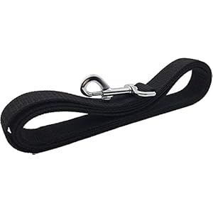 4FT5FT6FT-Strong-Dog-Leash-Nylon-Dog-Leashes-for-Small-Medium-Large-Dogs-Black-1-in-x-10-ft - Cucciolini Doodles   4FT5FT6FT-Strong-Dog-Leash-Nylon-Dog-Leashes-for-Small-Medium-Large-Dogs-Black-1-in-x-10-ft