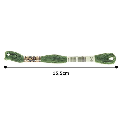 Image of DMC 6-Strand Embroidery Cotton Floss, Dark Hunter Green