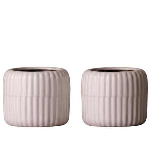 Image of Plant Pots for Indoor Plants, Succulents | Fluted Ceramic Planters for Living Room, Home & Office Decor (Set of 2, Off-White)