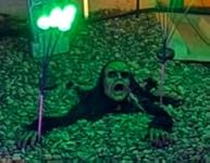 Review Image by Amazon Customer Amazon Customer