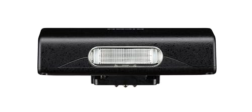 Ricoh Compact Blitz GF-2