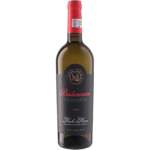  B uhDAXJ v~A t [2023]  C [}jAC 