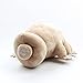 Tardigrade peluche giocattolo, Soft peluche giocattoli, peluche bambola, Tardigrade morbido cuscino farcito bambola, popolare scienza animale giocattoli