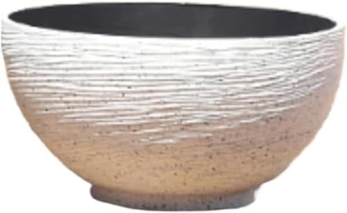 Vinebeautiful   ^O vX`bN͑ΐ@ yʁAϖՐAőϋv A KĂ (45cm,A)