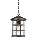 Quoizel CSE1910PN Crusade Outdoor Pendant Lighting, 1-Light, 150 Watts, Palladian Bronze (16" H x 10" W)