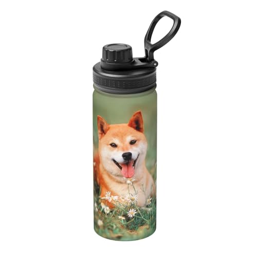  Č   ԕ 킢  ^fM ۉ ۗ X|[c{g XeX{g X|[cΉ RȂ 530ml a v[g