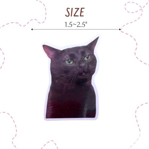 10PC Funny Meme Animals Fridge Magnets, Fun Cute Weird Magnetic Crying Cat Dog Hamster Duck Magnets for Gaming Kitchen Home Decor Bumper School Locker Work for Boys Girls Adult Accessories