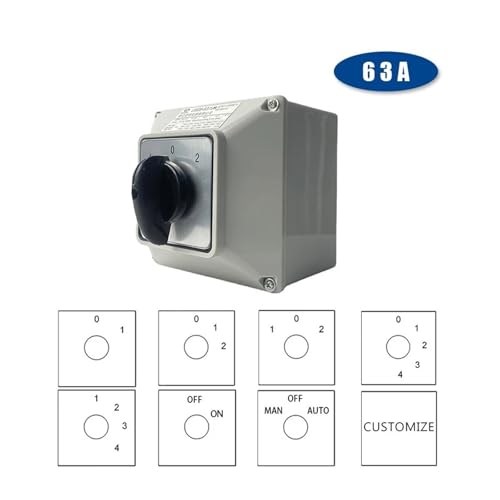 Interruptor giratorio de red de leva de cambio 63A 2 polos con caja IP65 3