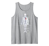 Photo Gallery diagramma anatomico del sistema circolatorio vene e arterie canotta Photo Gallery diagramma anatomico del sistema circolatorio vene e arterie canotta