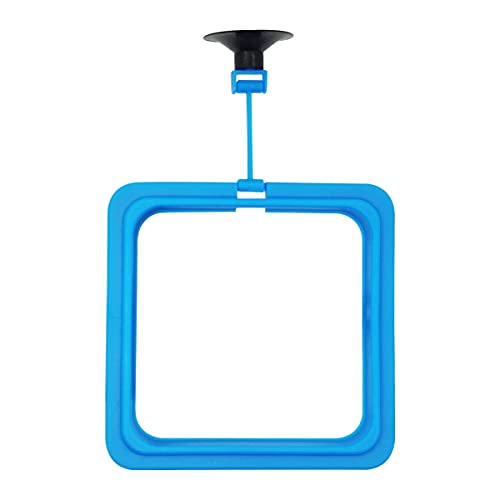 Fish Feeding Ring Floating Food Feeder Circle With Suction Cup Easy To Install Aquarium (Square) #TOP2