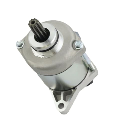 Démarreur moteur pour BETA 300 cm3 modèle long pièce 026070118000