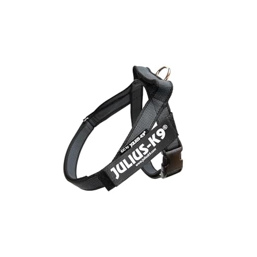 Julius-K9, Color & Gray, Beltgeschirr