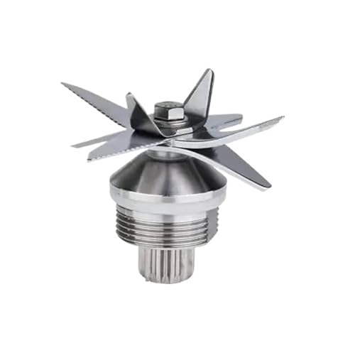 Lames de broyeur à glace pour vos smoothies avec Biolomix T5200