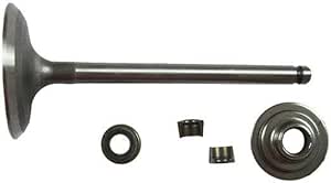 Valvola Di Scarico Per Motori BRIGGS & STRATTON Compatibile 011880 87518713 - Foto 9