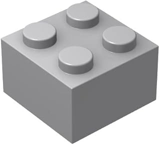 Classic Brick Block Bulk, Light Gray Bricks 2x2, Building Bricks Flat 100 Piece, Compatible with Lego Parts and Pieces: 2x2 Light Gray Bricks(Color:Light Gray)