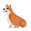 Orange and White