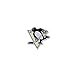 NHL Logo Pin, Pittsburgh Penguins