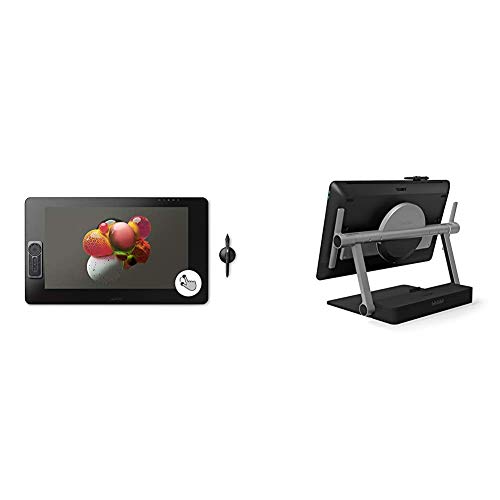 Wacom Cintiq Pro 24 Creative Pen and Touch Display â€“ 4K Graphic Drawing Monitor with 8192 Pen Pressure and 99% Adobe RGB (DTH2420K0), Black & Ergo Stand, Cintiq Pro 24