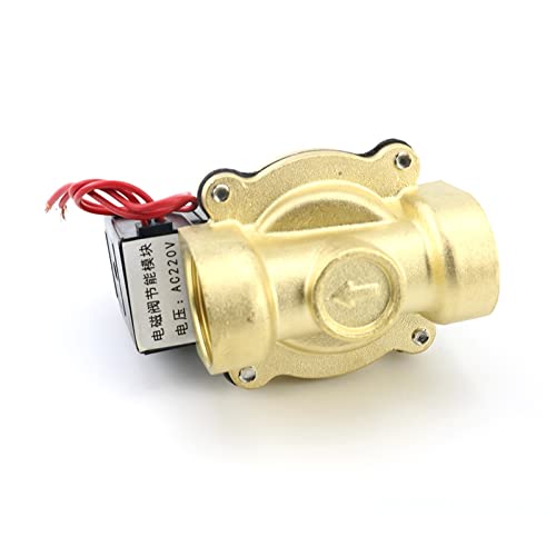 Électrovanne DN15 AC220V pour automatiser l'arrosage du jardin et sécuriser la maison