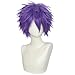 ESUNO Hair Cap+Short Purple Anime Wig Unisex Purple Cosplay Wigs Adult Layered Fluffy Wig Short Straight Hair Spiky Anime Outfit Fashion Messy Costume for Party Halloween Christmas Cosplay