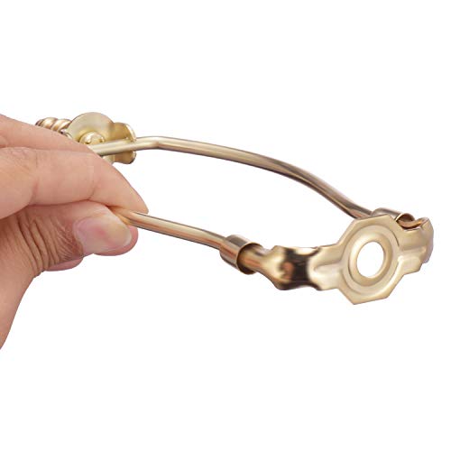 Canomo 2 Set 6 Inchs Heavy Duty Lamp Harp Fitter With Saddle And Solid Brass Tower Finial For Lamp Shades(Brass) #TOP3