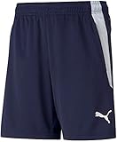 PUMA teamLIGA Training Shorts Jr,Peacoat-puma White,140