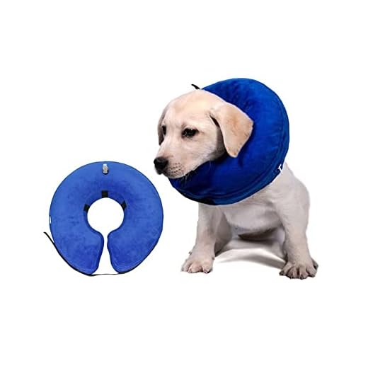 Uppblåsbart Hundhalsband, Uppblåsbar Hundkragar, Skyddande Uppblåsbart Halsband för Hundar Och Katter, för Stora Hundar Och Katter Anti-Bite Lick Wound Healing (L)