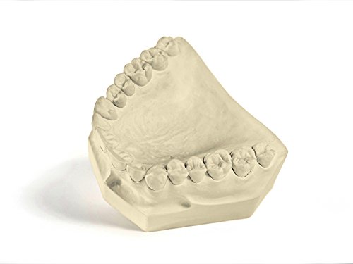 Garreco 1031025 Dental Tecstone FL, Type III Gypsum Base Stone, 25 lb Carton