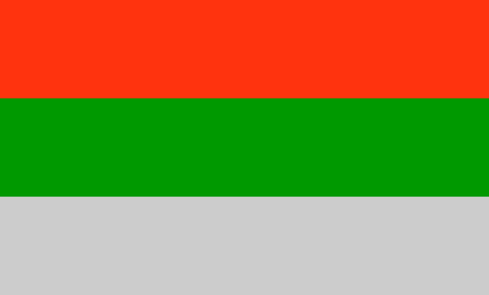 Drapeau Augsburg 90x150cm grand format de 1.35m² en version paysage