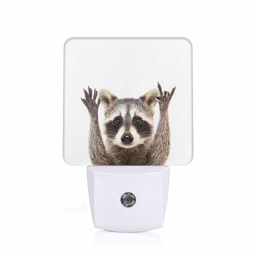Image of LED Night Light,Funny Cute Raccoon LED Night Light Plug into Wall with Dusk to Dawn Light Sensor White Energy Efficient Nightlight for Bedroom Bathroom Hallway Living Room Kitchen