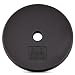 Yes4All 1-inch Cast Iron Weight Plates for Dumbbells - Standard Weight Disc Plates (5 lbs, Single)