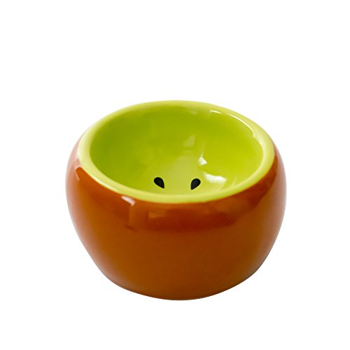 Hamster Bowl Ceramic Prevent Tipping Moving and Chewing Wonderful Food Dish for Small Rodents Gerbil Hamsters Mice Guinea Pig Cavy Hedgehog and Other Small Animals (Kiwi) - Thumbnail 3