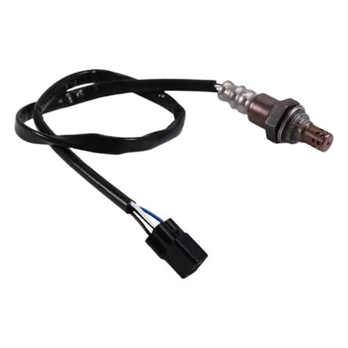 Sonde lambda de remplacement pour vos roadtrips en moto Z900 2019 2020