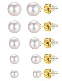 Juego de 5 pares de aretes de perlas para mujer, hipoalergénicos, de acero quirúrgico 316L, con perlas plateadas, regalos de cumpleaños, día de San Valentín, Acero quirúrgico hipoalergénico + plata