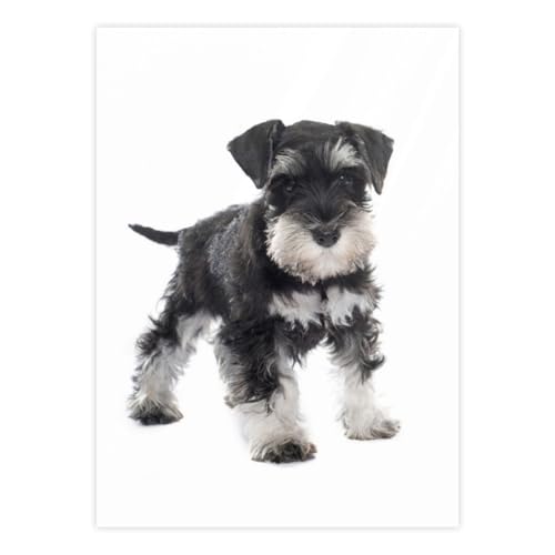 ~j`A ViEU[ q NX^XebJ[ X[cP[XXebJ[ XebJ[Zbg oCNXebJ[ ] XP[g{[h 蒠 I[goC Ԃ̃XebJ[ wbg p\R M^[ DIY m[g h 킢