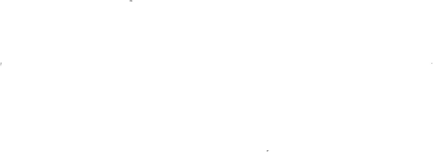 BIRKENSTOCK Adult Arizona VL Other