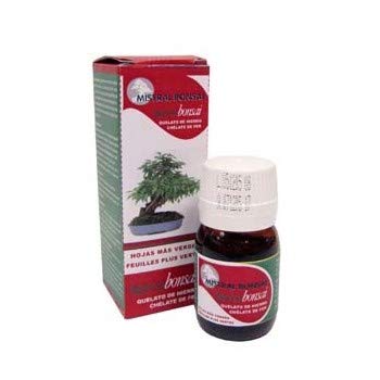 Mistral Bonsái 124915 - Ferrobonsai quelato de Hierro 30 ml.