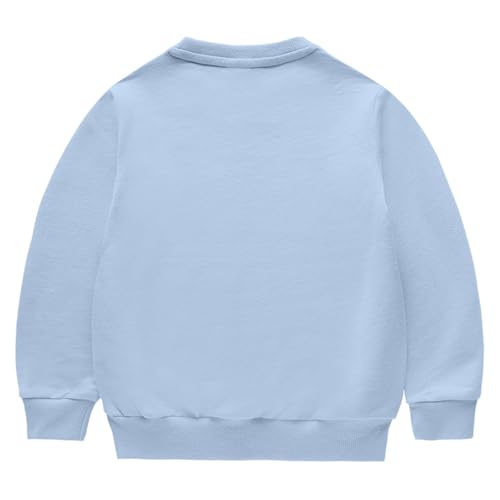 Toddler Baby Boys Girls Fleece Pullover Sweatshirt Solid Crewneck Blouse Tops Set Warm Shirt Joggers Fall Winter Clothes2