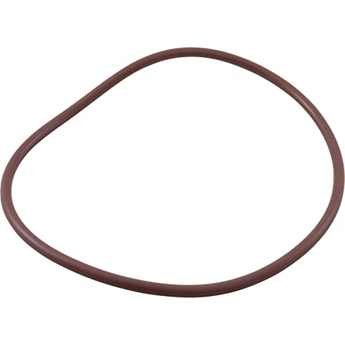 Pentair R172240 Lid to Housing O-Ring Replacement Rainbow High Capacity Automatic Chlorine/Bromine Pool and Spa Feeder