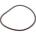 Pentair R172240 Lid to Housing O-Ring Replacement Rainbow High Capacity Automatic Chlorine/Bromine Pool and Spa Feeder